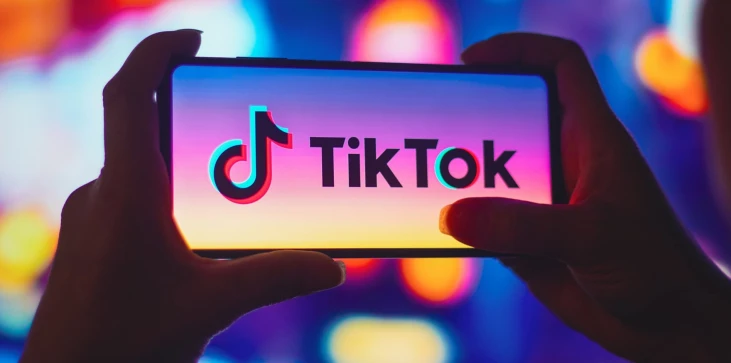 Logo del telefono TikTok